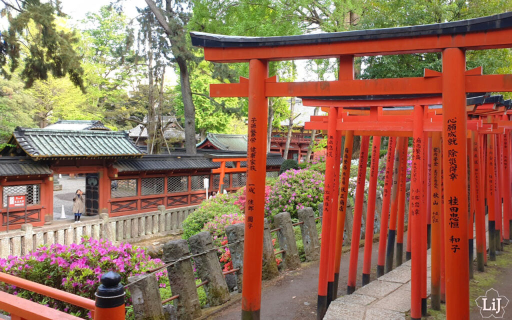 Nezu Schrein in Tokyo